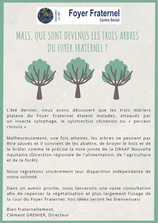 Affiche d'information sur les raisons de l'abattage des 3 platanes mûriers du Foyer Fraternel : L’été dernier, nous avons découvert que les trois mûriers platane du Foyer Fraternel étaient malades, attaqués par un insecte xylophage, le xylotrechus chinensis ou « perceur chinois ». Malheureusement, une fois atteints, les arbres ne peuvent pas être sauvés et il convient de les abattre, de broyer le bois et de le brûler comme le précise la note jointe de la DRAAF Nouvelle Aquitaine (Direction régionale de l'alimentation, de l'agriculture et de la forêt). Nous regrettons sincèrement leur disparition indépendante de notre volonté. Dans un avenir proche, nous lancerons une vaste consultation afin de repenser la végétalisation et plus largement l’usage de la cour du Foyer Fraternel. Vos idées seront les bienvenues! Bien fraternellement, Clément GRENIER, Directeur