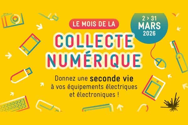 Visuel jaune d'information du mois de la collecte numérique du 2 au 31 mars 2026